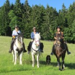 bluemountain-horse-trekking.de