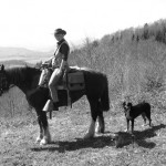 Wanderreiten für Erwachsene