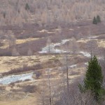 Abenteuer Wanderreiten Todtmoos Au