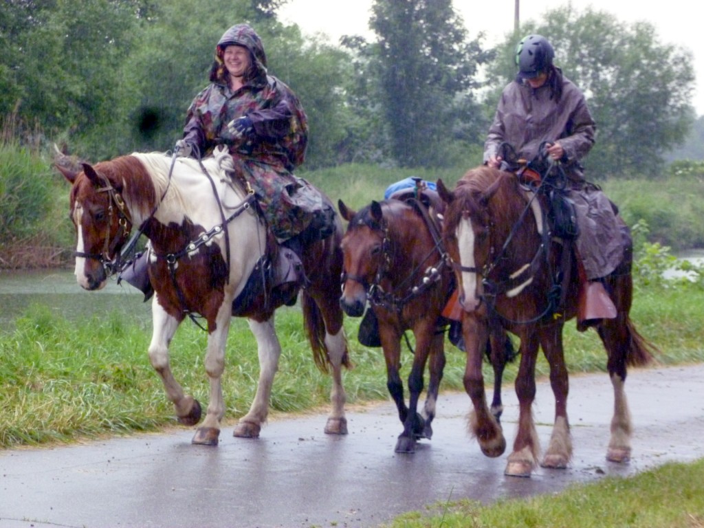 www.schwarzwald-wanderreiten.de